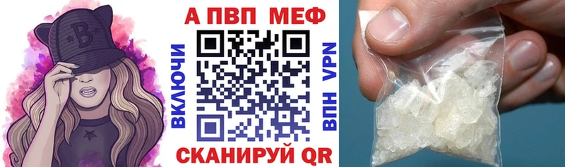 А ПВП крисы CK  Сунжа 