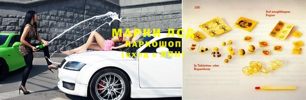 ПСИЛОЦИБИНОВЫЕ ГРИБЫ Пересвет