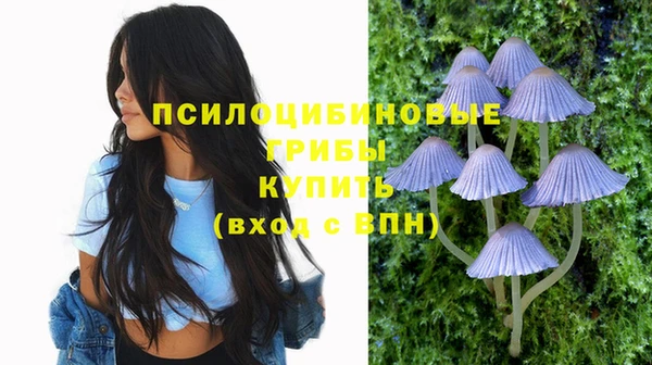 дмт Пестово