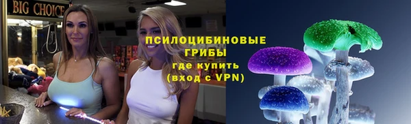 дмт Пестово