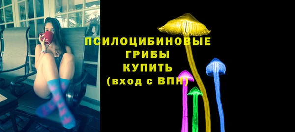 ПСИЛОЦИБИНОВЫЕ ГРИБЫ Пересвет
