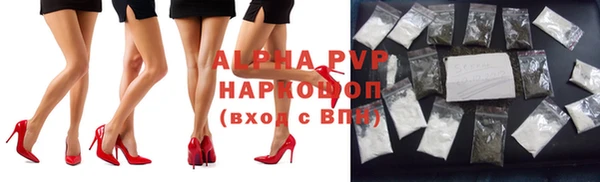 дмт Пестово
