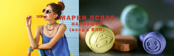 дмт Пестово