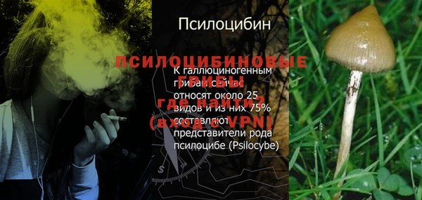 дмт Пестово