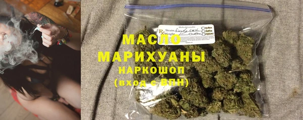 дмт Пестово
