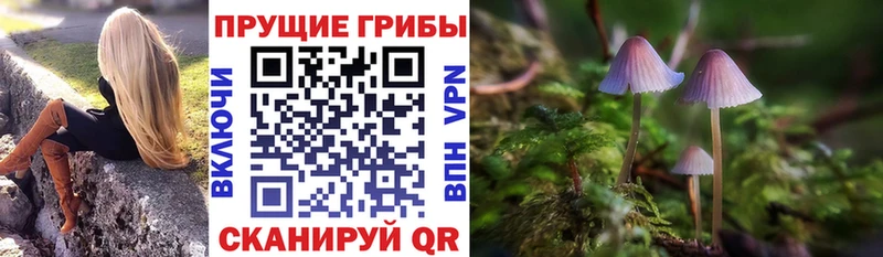 Псилоцибиновые грибы MAGIC MUSHROOMS  Сунжа 